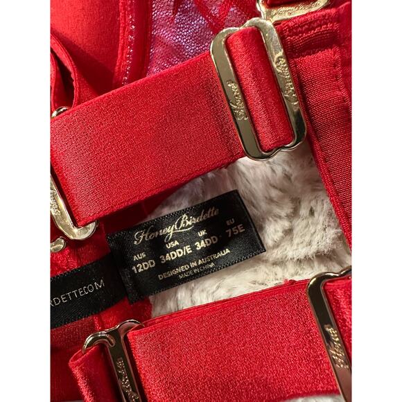 RARE🔥 Honey Birdette LUCILLE❤️ Red Lace Push Up Bra 34DD - Picture 5 of 5